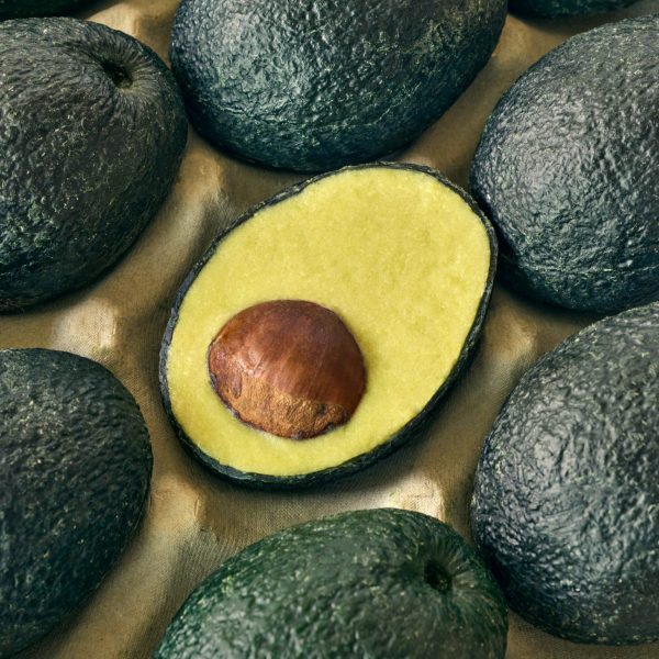 Ecovado by Arina Shokouhi from roundup of best product designs 2022