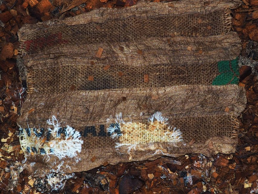 Helena Elston mycelium textiles