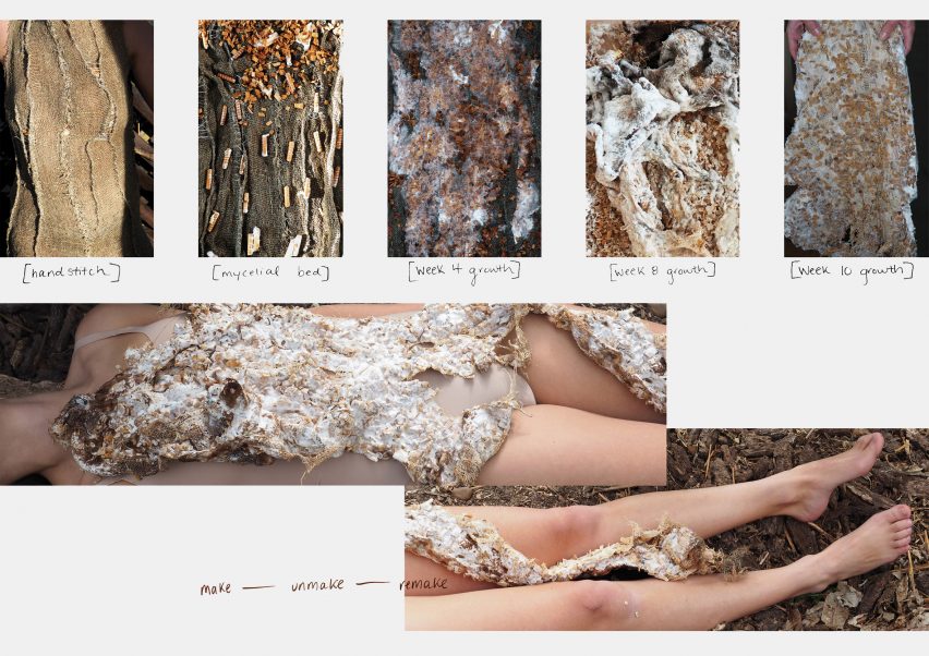 Helena Elston mycelium textiles