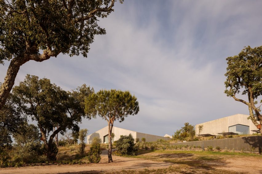 Pateos houses by Manuel Aires Mateus