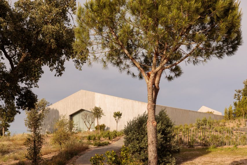 Pateos houses by Manuel Aires Mateus