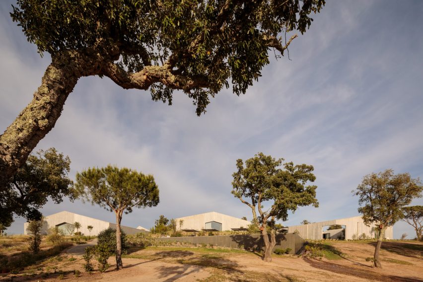 Pateos houses by Manuel Aires Mateus