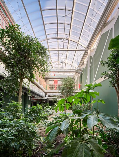 Greenhouse in Reggio School