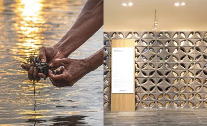 Split image of seaweed from the sea and tiles