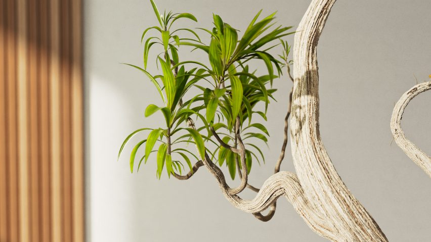 Visualisation of a lush offshoot from a tree branch