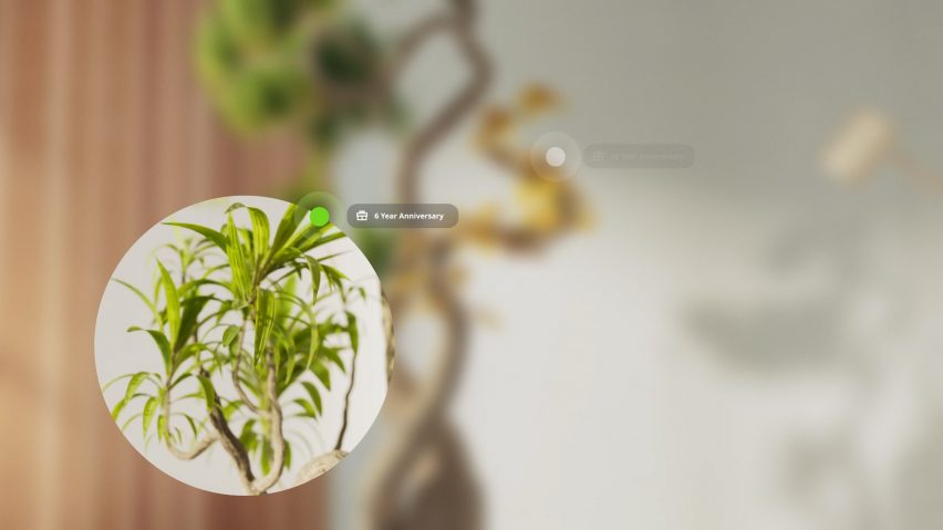 Visualisation showing a tree with intertwining leafy branches and a spotlight on one branch and text reading 'six-year anniversary'