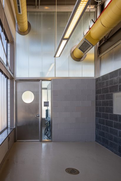 Ventilation within animal shelter