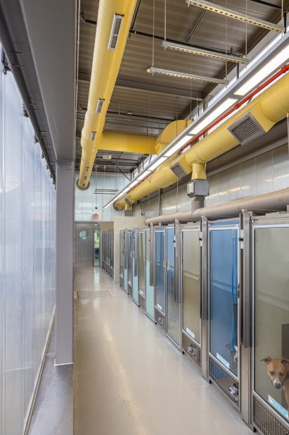 Interior of animal shelter