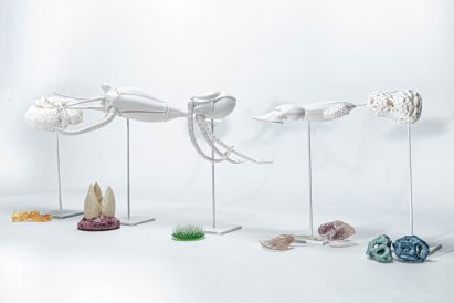 Visualisation of sea creature-like objects on white background