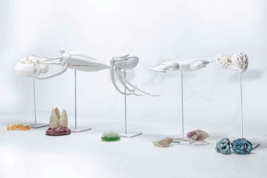 Visualisation of sea creature-like objects on white background