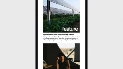 Dezeen In Depth newsletter