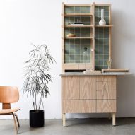 Photograph of cabinet with open cupboard and cannabis plant beside it