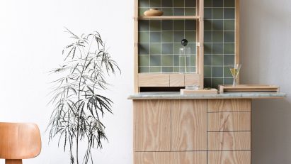 Photograph of cabinet with open cupboard and cannabis plant beside it