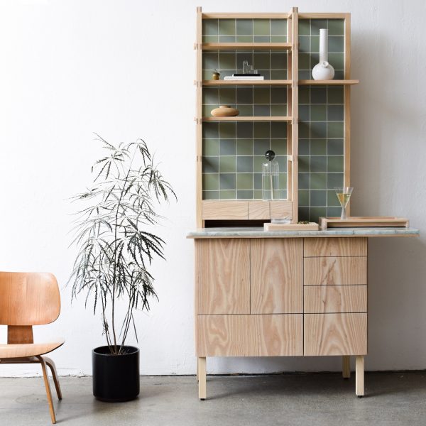 Photograph of cabinet with open cupboard and cannabis plant beside it