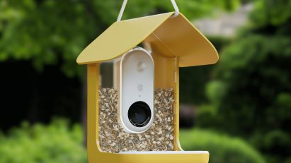 AI Birdbox