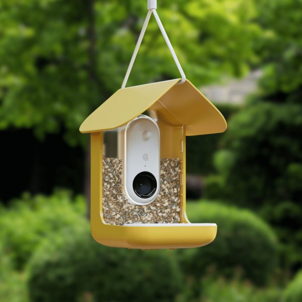 AI Birdbox