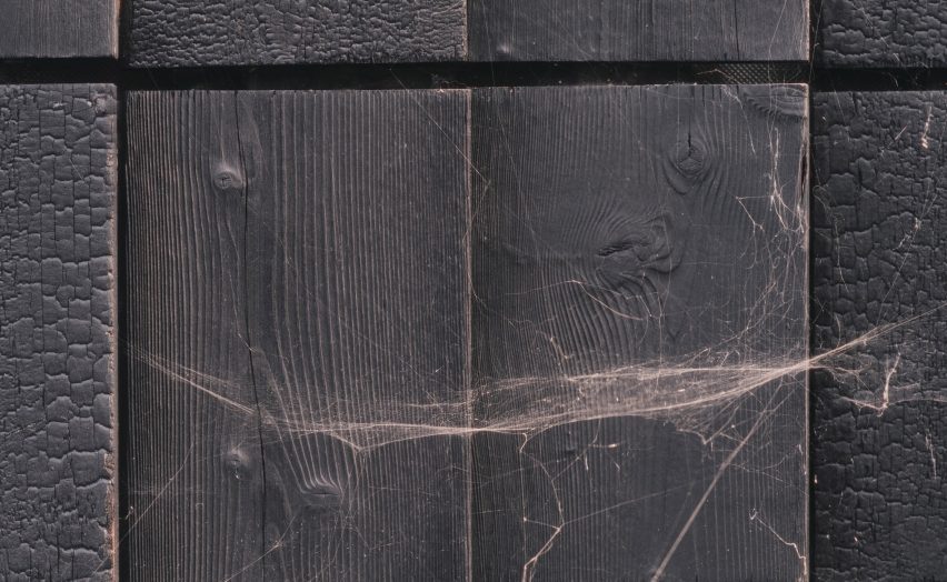 Cobweb on Dark Matter garden studio by Hyper