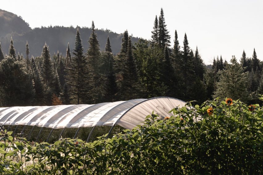 Arched structure covering farmland and crops in a forest