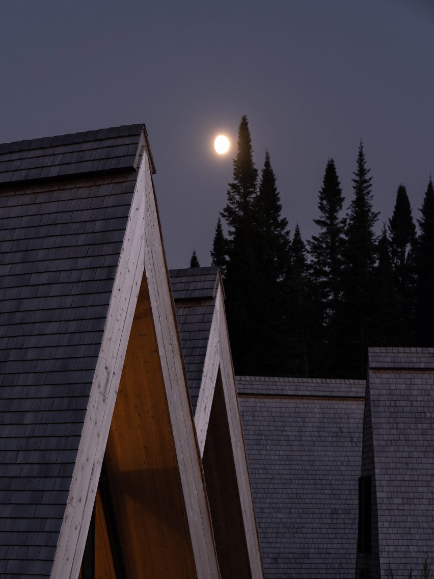 Tops of steep-pitched roofs in a forest at dusk