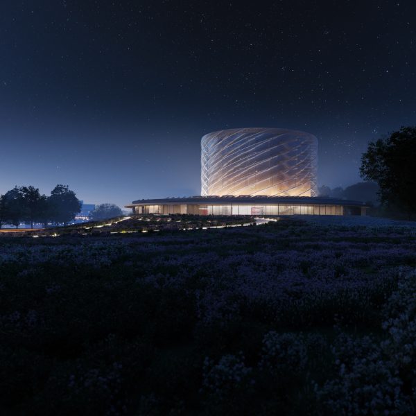 Fusion power plant