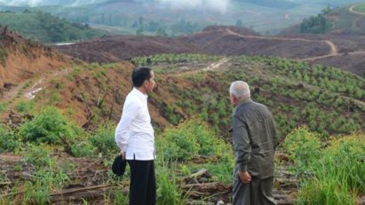 Site of Indonesia's new capital Nusantara