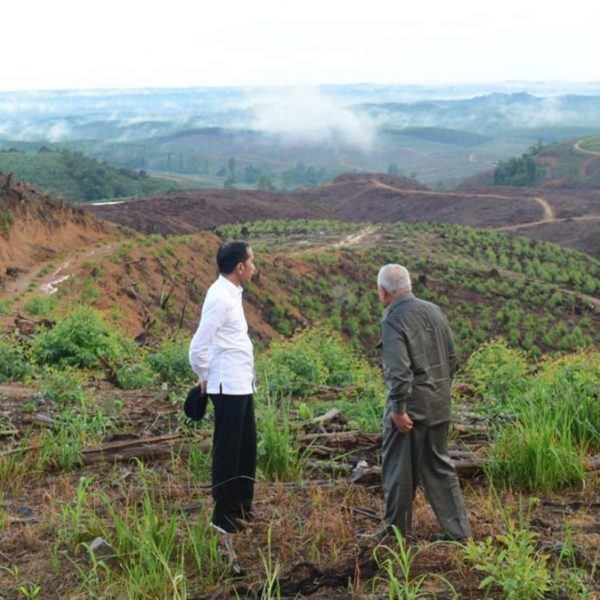 Site of Indonesia's new capital Nusantara