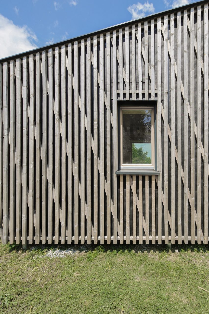 Straw Flea House by Juri Troy