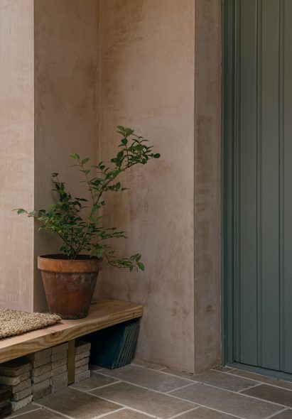 Potted plant on a low wooden bench