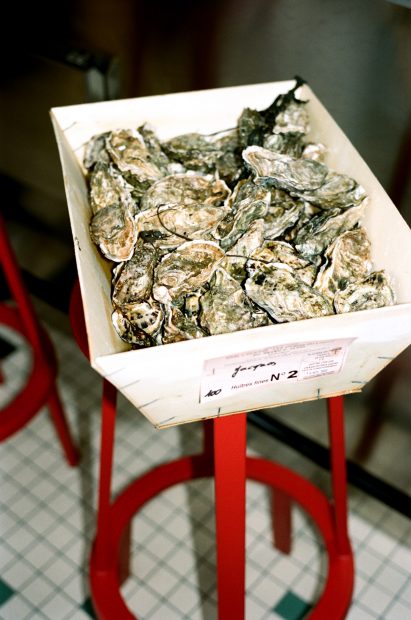 Close-up photograph of oyster basket resting on coral-coloured stool