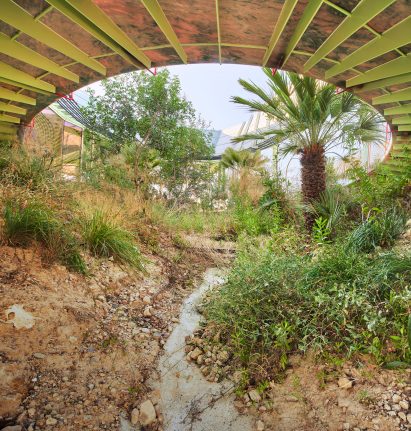 Drought-tolerant ravine garden