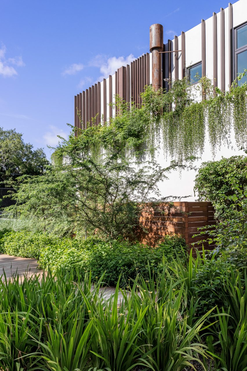 Angel Oaks by Strang Design