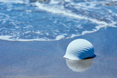 Shell-based hardhat-style helmet on the beach