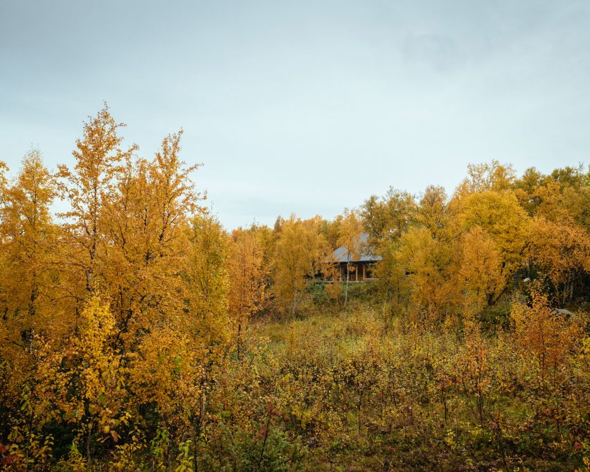 The Hat House by Tina Bergman