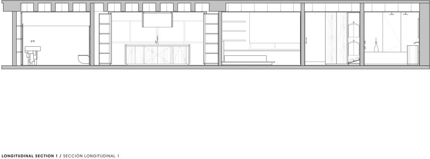 Longitudinal section