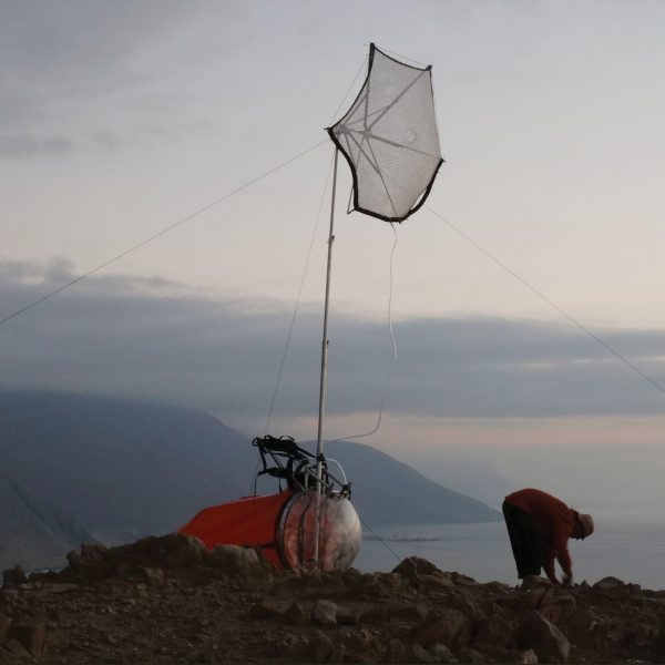 Fog-X placed on top of a mountain