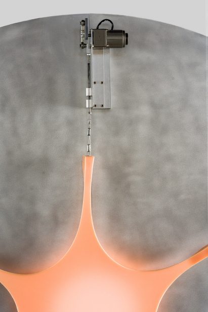 Brecht Wright Gander Flesh Light