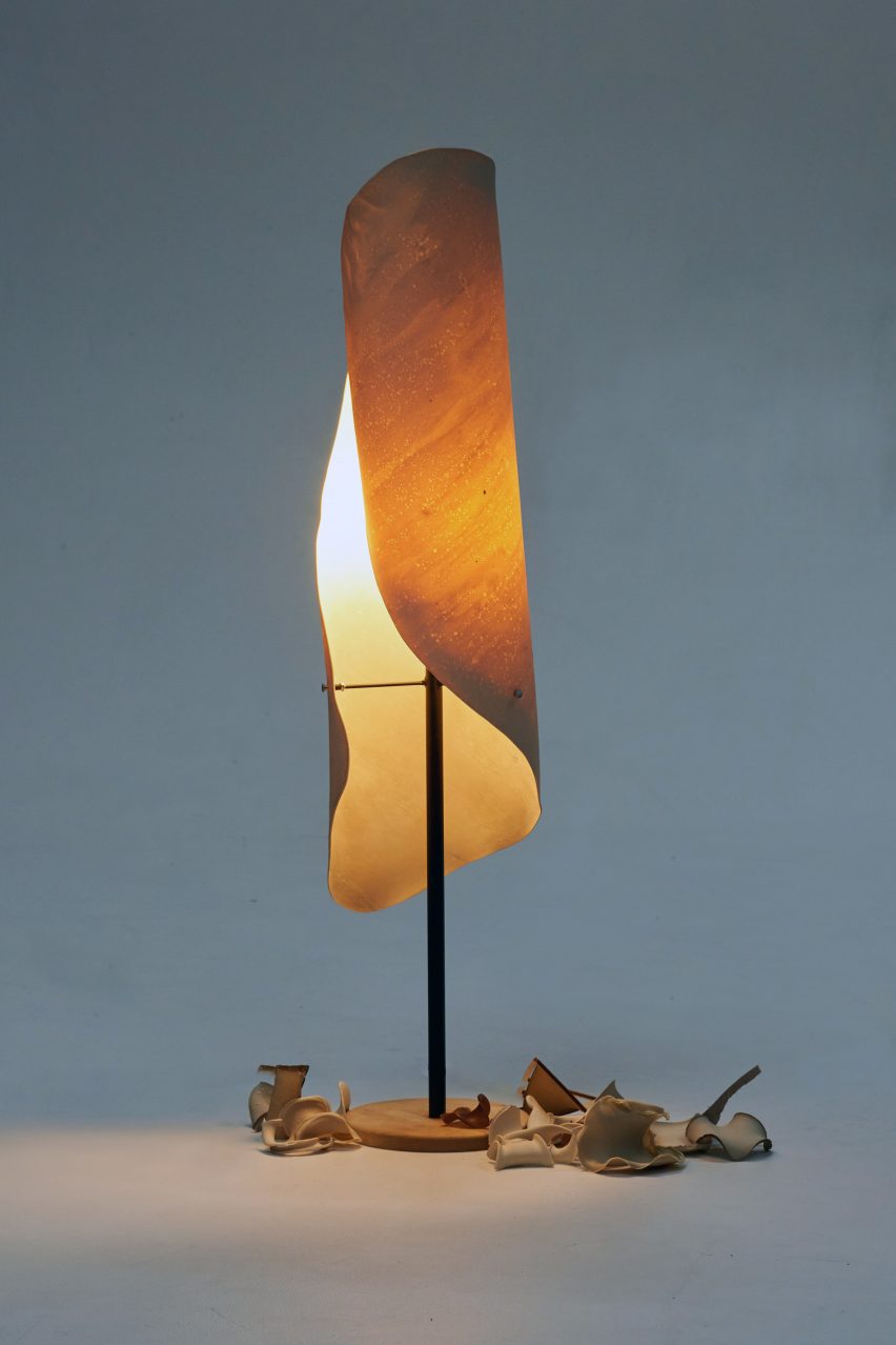 Photo of light with lampshade made from algae