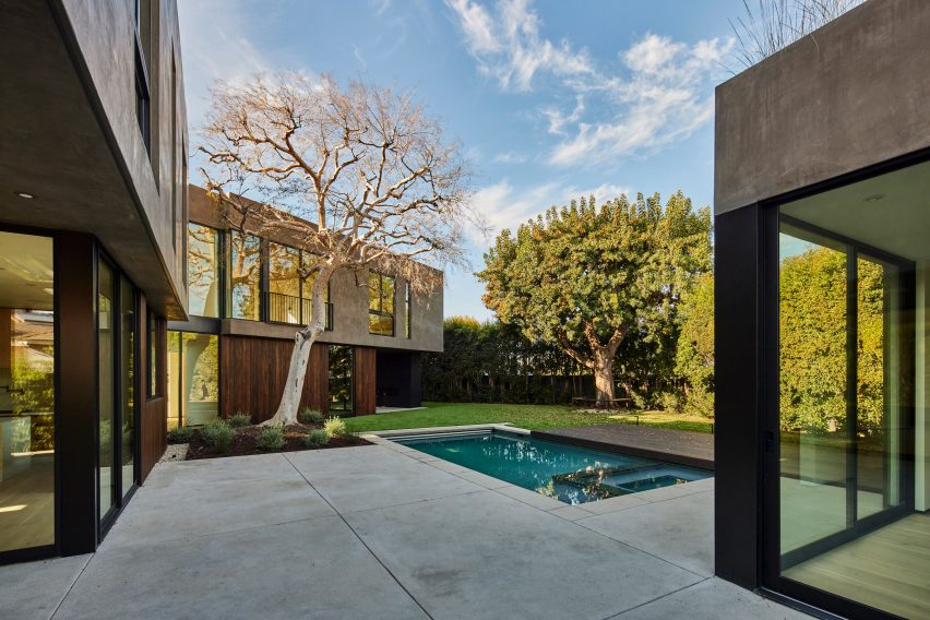 Residential back garden with a swimming pool and elm tree