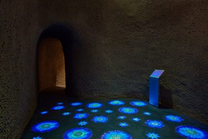 Lit up flower animations on the floor of cave-like room at insect museum