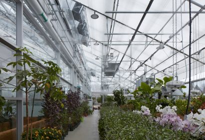 Light-filled vivarium within Montreal Insectarium