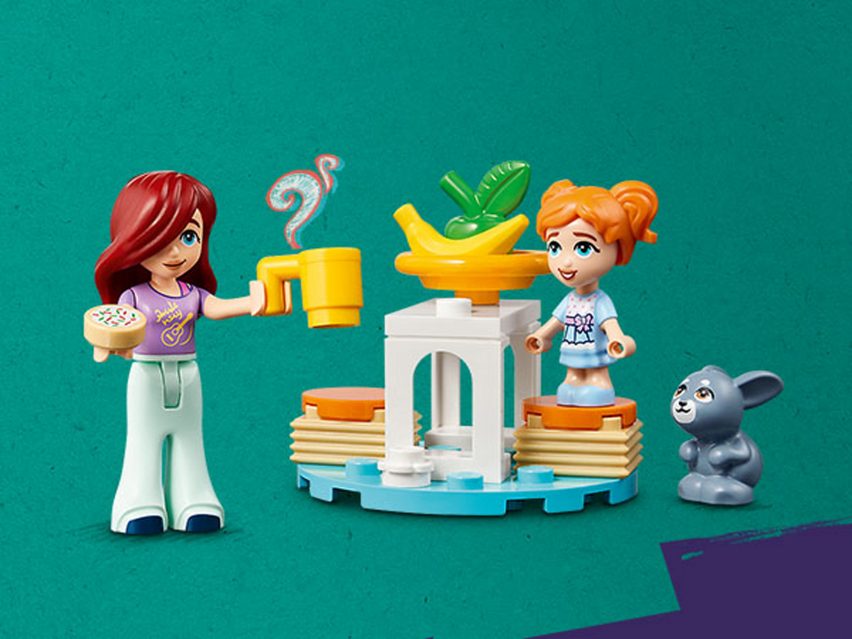 Lego Friends