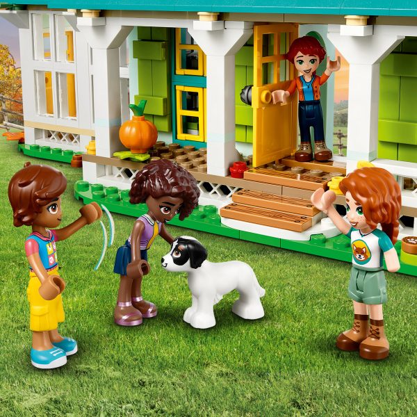 Lego Friends figures with disabilities