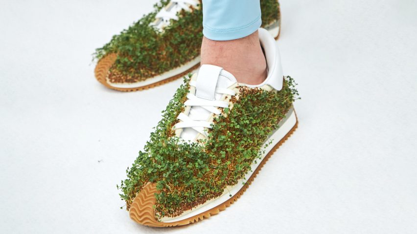 Loewe grass trainers