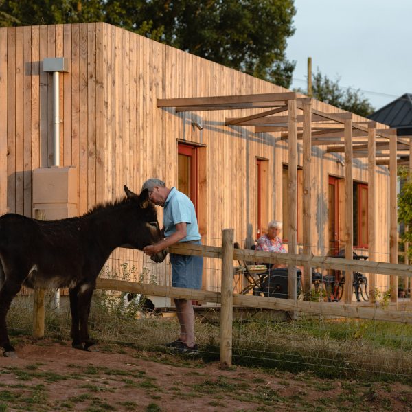 Exterior of Nest House by Studio Bark