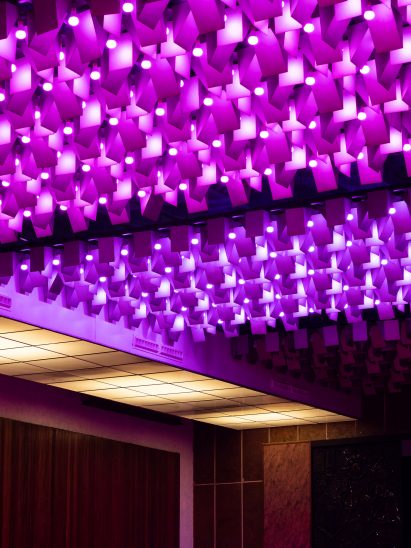 Ceiling with acoustic baffle panels 