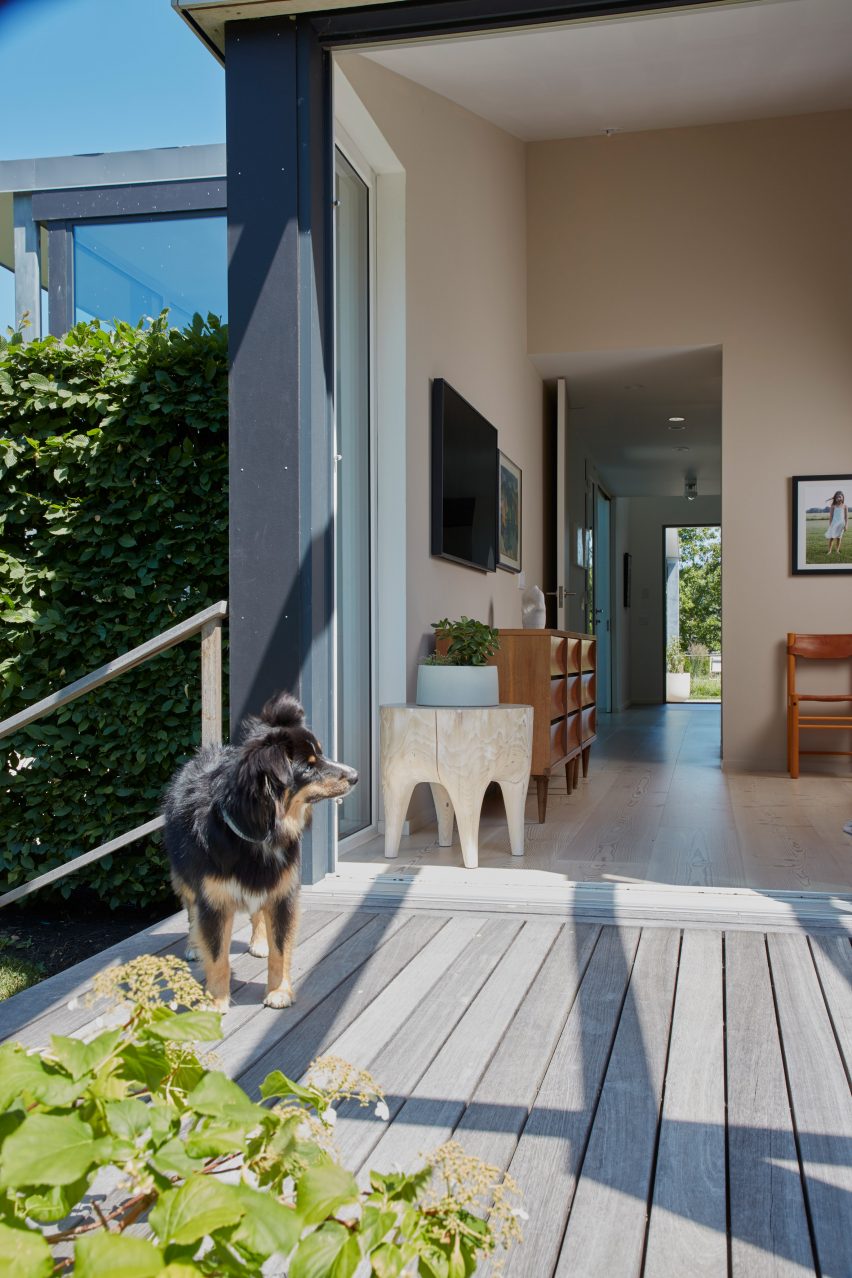 Interior living space that opens onto outdoor timber decking with a dog
