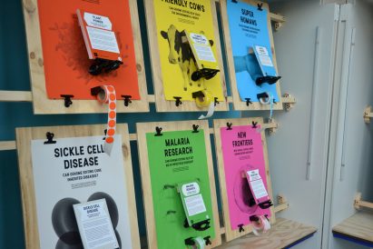 Colourful posters and stickers within exhibition about genome editing by The Liminal Space