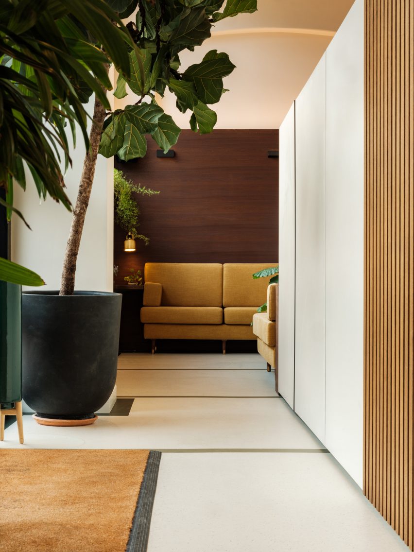 Office entry space with white walls and floors, a yellow sofa and potted plant
