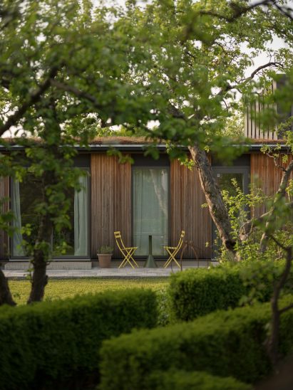 Larch-clad house extension framed by trees