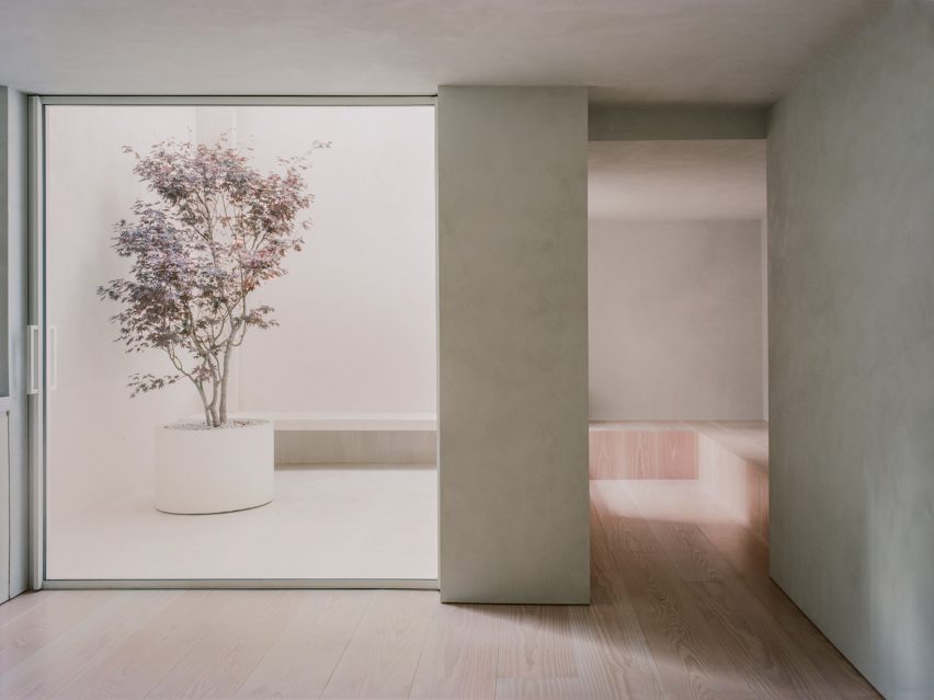 A white interior with wood flooring and a large opening leading to an outdoor courtyard with a potted tree